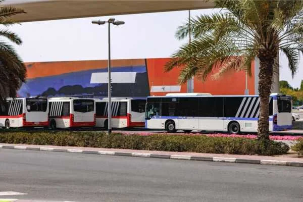 Bus Travel New Schedules and Intercity Routes